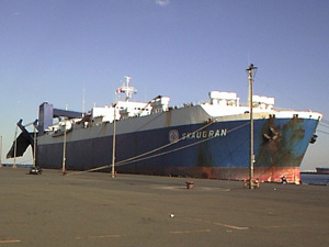 M/S Skaugran